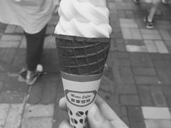 -富豪雪糕车流动点(尖沙咀店)
