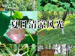 -龙头寺公园