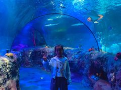 -沈阳海洋探索中心