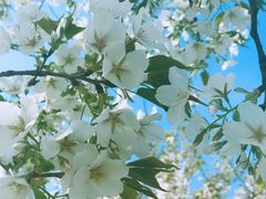 -白塘生态植物园