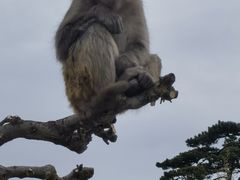 -妙峰山风景名胜区