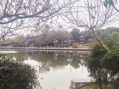 -月湖风景区
