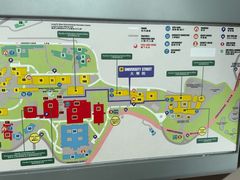 -香港大学