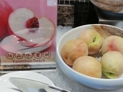 -上海浦东嘉里大酒店