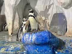 -太平洋海底世界