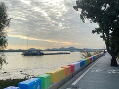 -鱼珠码头(轮渡站)