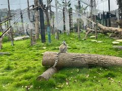 -武汉动物园