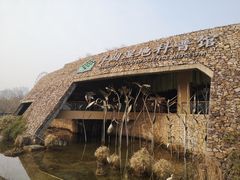 -洋湖国家湿地公园