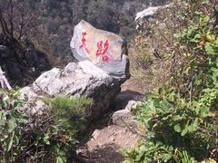 -牛背梁国家森林公园