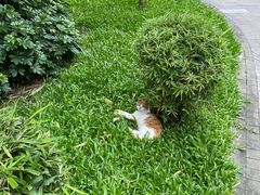 -晓港公园