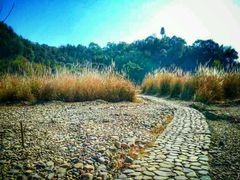 android_upload_pic-楠溪江风景名胜区