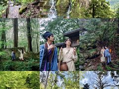 -天目山大树王景区