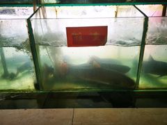 -干老四雅鱼饭店(滨江西路店)