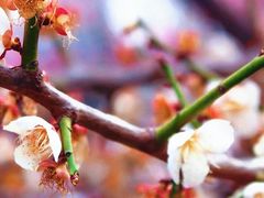 -山东大学(趵突泉校区)