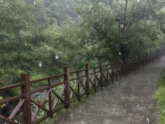 -石台牯牛降景区