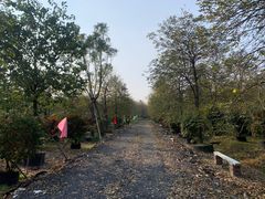 -佛山市三水温泉度假村