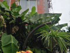 -漫渡庄绿岛花园•隐世庭园菜(滨湖店)