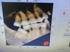 -泰康拜博口腔(凯迪大厦店)