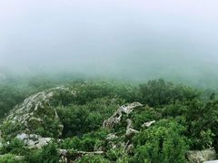 -帽儿山风景区