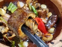 -天宝食坊·啫啫煲大排档(西华路店)