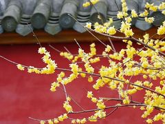 -浙江西湖美术馆