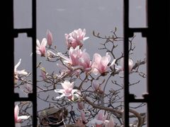 -耦园