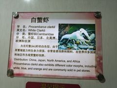-上海大自然野生昆虫馆(东方明珠·爬宠昆虫探索中心)