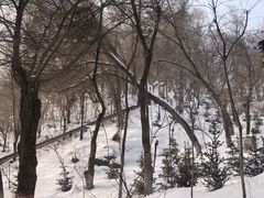 -红山公园