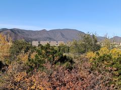 -门城湖公园