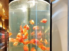 -红鱼湾餐厅(国际大厦店)