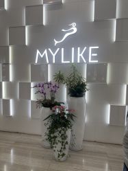 -深圳美莱医疗美容医院