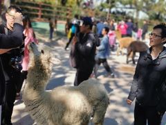 -西霞口神雕山野生动物世界