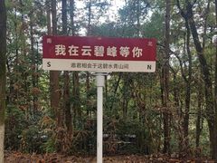 -云碧峰国家森林公园