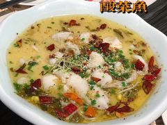 -虾饺妹·粤式手工点心(水荫路店)