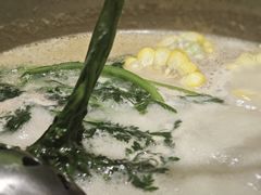-洪氏嗨捞·猪肚鸡火锅(阳光天地店)