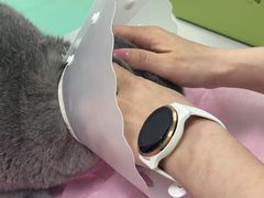 -北京观赏动物医院·24小时大型综合·猫专科·异宠专科