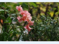 -行人小筑·茶馆(岑村火炉山分店)