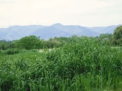 -良渚古城遗址公园