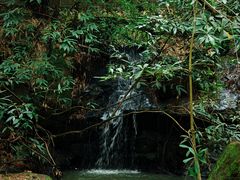 -滴水岩森林公园