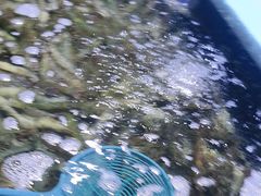 -聚盛源蒸汽海鲜火锅烤肉自助(巨川金海岸购物广场店)