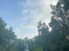 -大亚湾红树林城市湿地公园