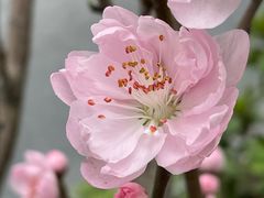 -蓝宝石大厦(天目中路)