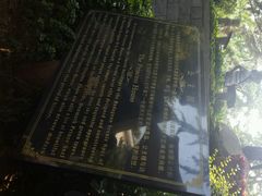 android_upload_pic-八大关景区