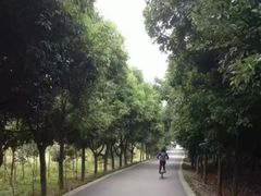 -三圣花乡旅游区