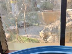 -春晖园度假酒店温泉