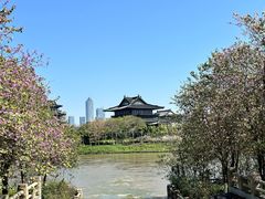 -海珠湖公园