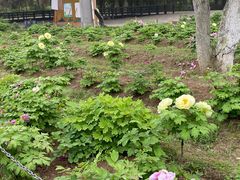 -合肥三国新城遗址公园