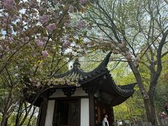 -上海佘山国家森林公园西佘山园