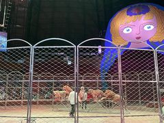 -俄罗斯国家大马戏团