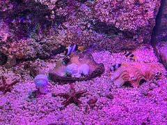 -正佳极地海洋世界